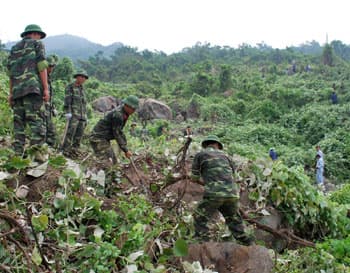 Chung tay loại bỏ dây leo bìm bìm