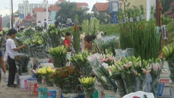 Điểm hẹn người yêu hoa