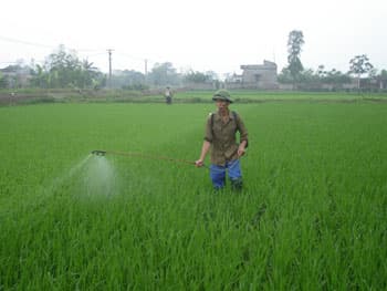Xem xét tổng hòa giữa các lợi ích