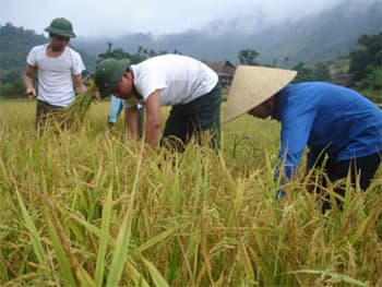 Biên phòng "cắm bản" ở Cò Phạt