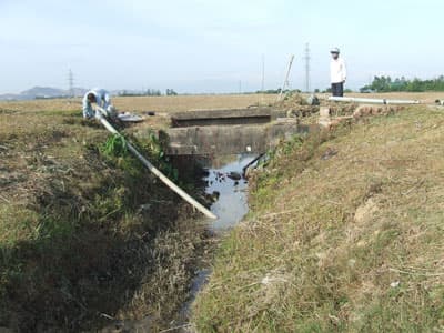 Nghệ An chống hạn cứu lúa