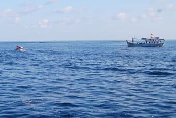 Bảo tồn sinh thái biển Trường Sa