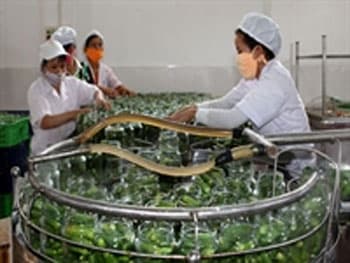 7 tháng, nông nghiệp xuất siêu 2,6 tỷ USD