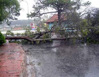 Đông Bắc Bộ cần đề phòng thời tiết nguy hiểm, vùng núi cảnh giác với lũ quét và sạt lở đất
