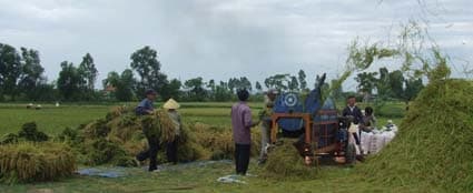 Sắc diện ngày mới