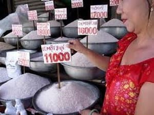 Việt Nam không vi phạm cam kết về giá của WTO