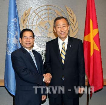 Hình mẫu Việt Nam