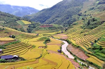 “Danh thắng quốc gia Ruộng bậc thang Mù Cang Chải” năm 2010