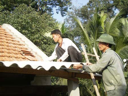 Bật dậy sau lũ