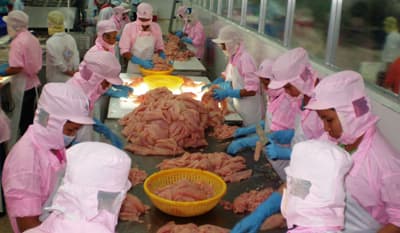 Nông sản Việt nâng vị thế nước Nam