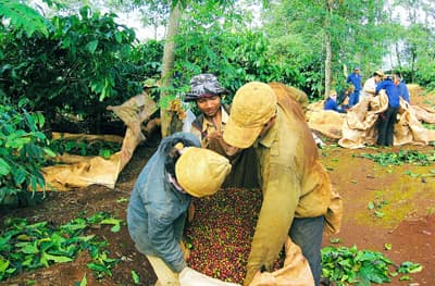 Giúp đồng bào Cư Mgar thoát nghèo