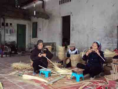 Xuân Hội gọi xuân về
