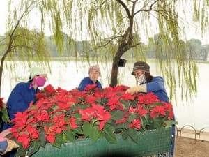 Sắp có lễ hội phố hoa xung quanh hồ Hoàn Kiếm