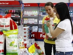 Hà Nội: Tập trung chỉ đạo sản xuất hàng nông sản phục vụ Tết Nguyên đán