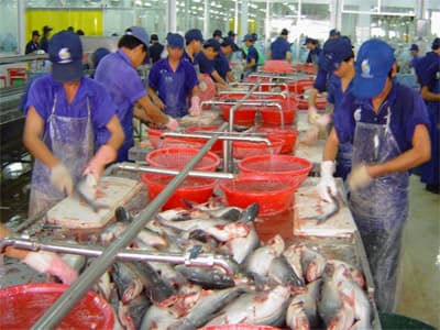 Đừng tạo tiền lệ để các tổ chức phi chính phủ áp đặt lên cá tra Việt Nam