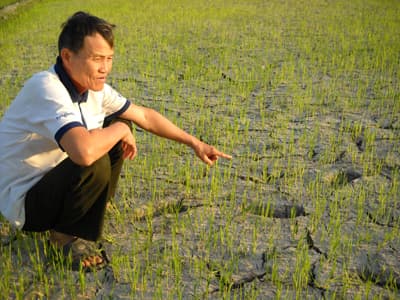 Nông dân Kon Tum điêu đứng vì nắng hạn
