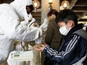 Phát hiện phóng xạ trong lá cây thông ở Hà Nội