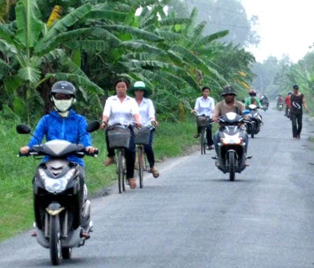 Vui tết trên những cánh đồng bội thu
