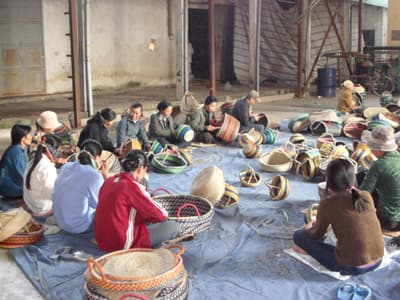 Làng nghề cói Trì Chính khởi sắc