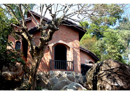 Bảo tàng giữa rừng xanh