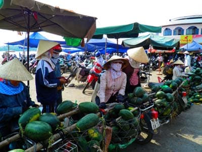 Bác bỏ tin đồn về ăn dưa gây ngộ độc chết người