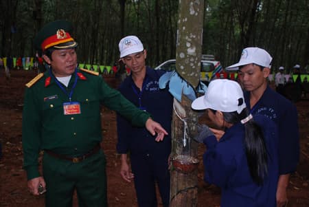 Bài 4: Tăng cường chiều sâu, tính thiết thực và bền vững