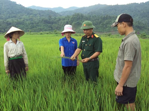 Thủy lợi đến đâu, lúa đến đó