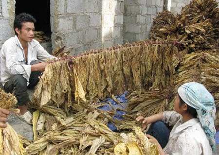 Quyền sống trong môi trường không khói thuốc lá