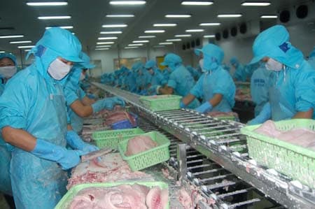 Con đường để phát triển bền vững