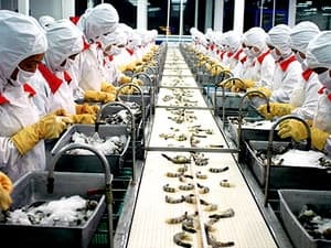 WTO ra phán quyết về vụ kiện tôm của Việt Nam