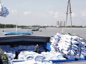 Indonesia sẽ nhập tới 600.000 tấn gạo Việt Nam