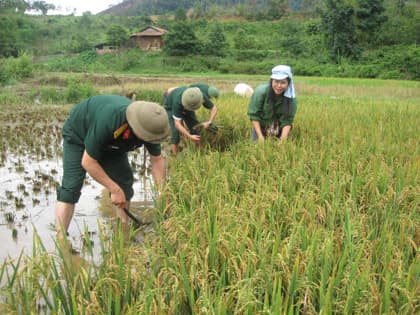 Bám bản giúp bà con phát triển kinh tế