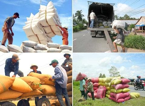 Xuất khẩu tăng mạnh về lượng và giá