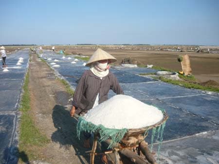 Diêm dân Hải Châu loay hoay tìm đầu ra cho sản phẩm