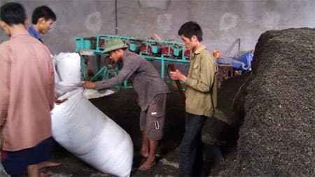 Ngăn chặn nạn chè bẩn!