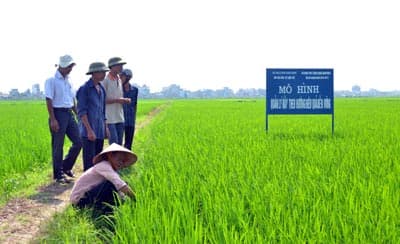 Ưu tiên giữ vững môi trường sinh thái nông nghiệp
