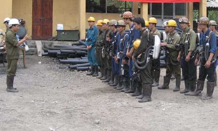 Nhịp sống trong lòng đất