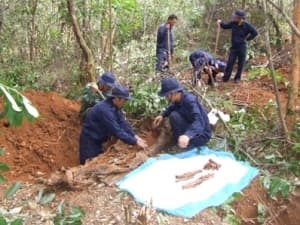 Ngày 15-1 bắt đầu chương trình TV tìm thông tin liệt sĩ