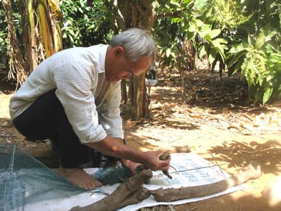 Nuôi dông - nghề thoát nghèo trên đảo Phú Quý
