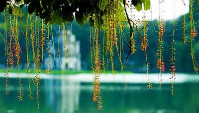 Hà Nội đẹp...