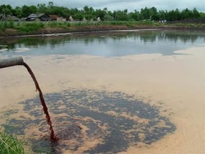 Phạt 8 doanh nghiệp vi phạm về bảo vệ môi trường