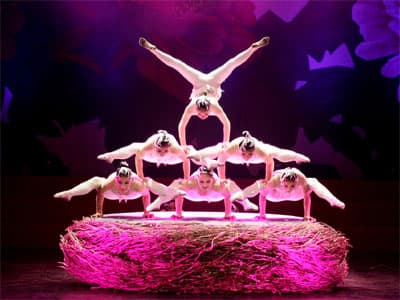 Món quà ý nghĩa chào mừng 66 năm Quân đội nhân dân Việt Nam