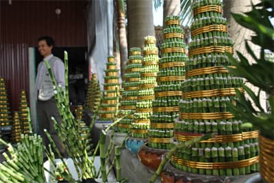 Làng “phát tài” vào Tết