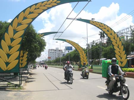 Sẽ có nhiều hoạt động hấp dẫn
