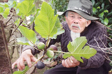 Tái hiện khu căn cứ du kích Long Hẹ