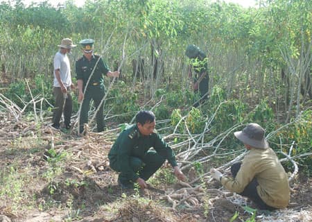 Chiến sĩ đồn Biên phòng Ia Púch giúp dân thoát nghèo