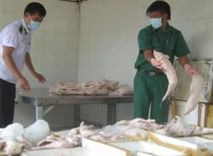 TP.Hồ Chí Minh: Kinh hoàng với thực phẩm mùa Tết