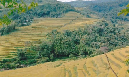 Thân thương tiếng gọi từ Mường Vôi