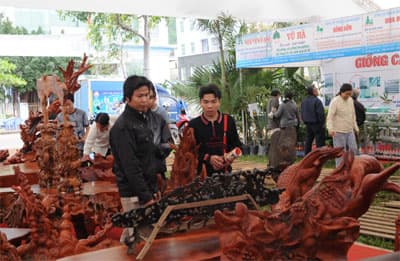 Du lịch Bình Định đứng trước nhiều cơ hội