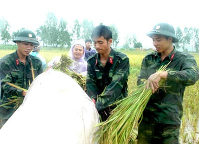 Bộ đội giúp dân cứu hàng trăm ha lúa trước nguy cơ mất trắng